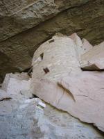 Image IMG_5613.JPG