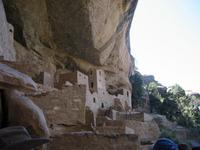 Image IMG_5617.JPG