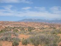 Petrified Dunes.