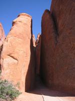 Image IMG_5710.JPG
