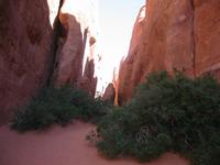 Image IMG_5715.JPG