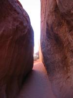 Image IMG_5716.JPG
