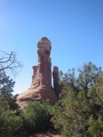 Image IMG_5726.JPG