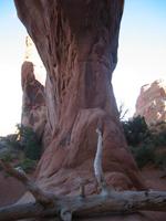 Image IMG_5765.JPG