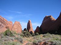 Image IMG_5770.JPG