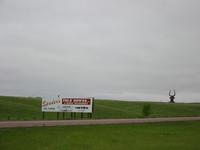 A bull's head in a field?  