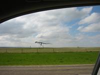 There are some odd things on the sides of the highway to promote tourist traps.  