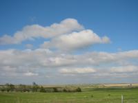 Fluffy clouds.