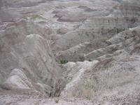 Image IMG_2935.JPG