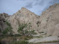 Image IMG_2960.JPG