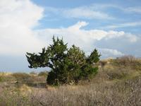 Image IMG_2999.JPG
