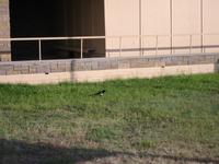Image IMG_3011.JPG