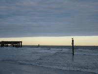 Image IMG_5887.JPG