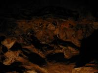 Image IMG_3120.JPG