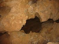 Image IMG_3123.JPG