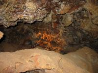 Image IMG_3124.JPG