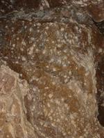 Image IMG_3127.JPG