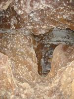 Image IMG_3128.JPG