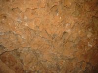 Image IMG_3129.JPG