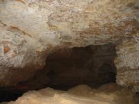 Image IMG_3134.JPG