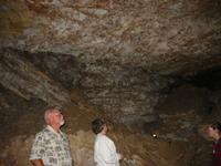 Image IMG_3135.JPG