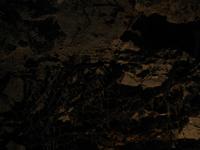 Image IMG_3141.JPG
