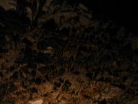 Image IMG_3144.JPG