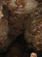 Image IMG_3148.JPG