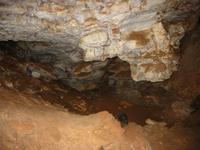 Image IMG_3149.JPG