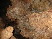 Image IMG_3152.JPG