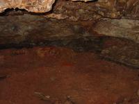 Image IMG_3154.JPG