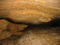 Image IMG_3156.JPG