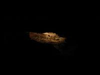 Image IMG_3157.JPG