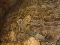 Image IMG_3162.JPG
