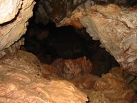 Image IMG_3170.JPG