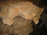 Image IMG_3175.JPG