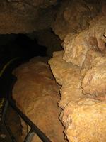 Image IMG_3179.JPG
