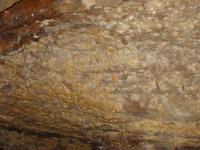 Image IMG_3186.JPG