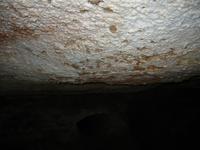 Image IMG_3188.JPG