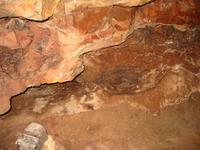 Image IMG_3194.JPG