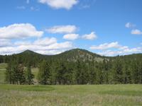Image IMG_3205.JPG