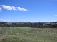 Image IMG_3206.JPG