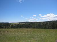Image IMG_3207.JPG
