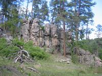 Image IMG_3213.JPG