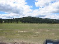 Image IMG_3214.JPG
