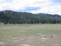Image IMG_3215.JPG