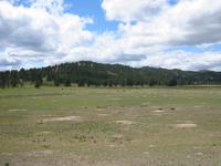 Image IMG_3216.JPG