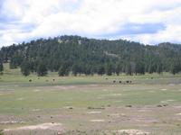 Image IMG_3218.JPG