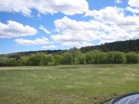Image IMG_3235.JPG