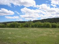 Image IMG_3236.JPG